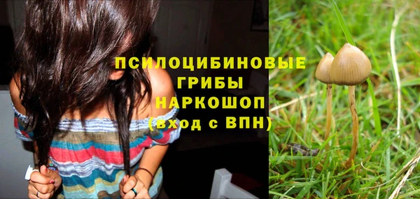 тгк Богородицк