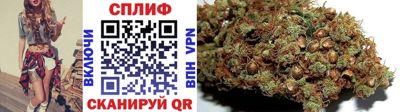 Бошки марихуана ГИДРОПОН где можно купить наркотик ОМГ ОМГ сайт Мценск